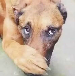 What You Left Behind Is What Smells