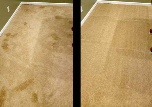 HACOE Urine Stain Remover
