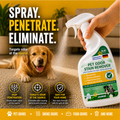 HACOE Urine Stain Remover